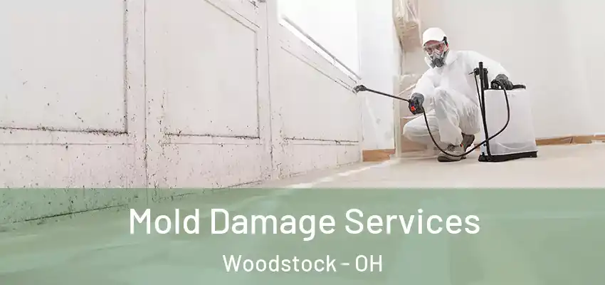  Mold Damage Services Woodstock - OH
