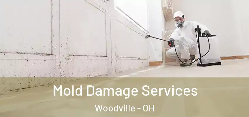  Mold Damage Services Woodville - OH