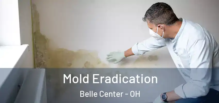  Mold Eradication Belle Center - OH