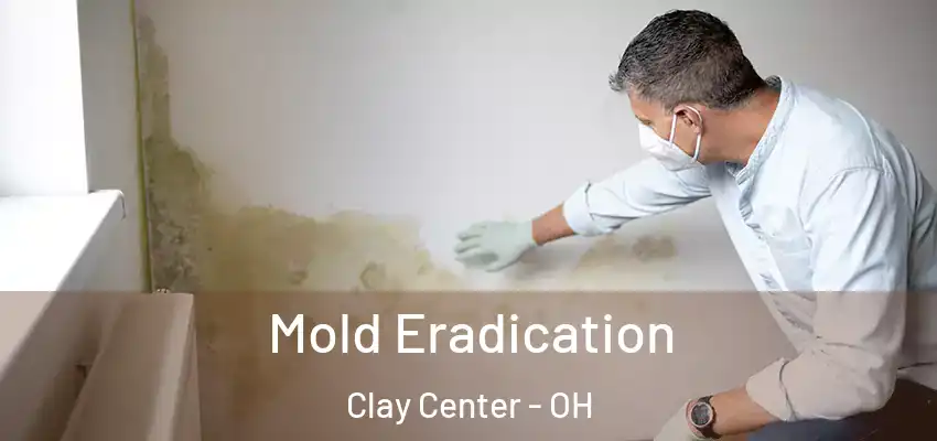  Mold Eradication Clay Center - OH