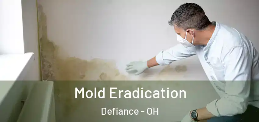  Mold Eradication Defiance - OH