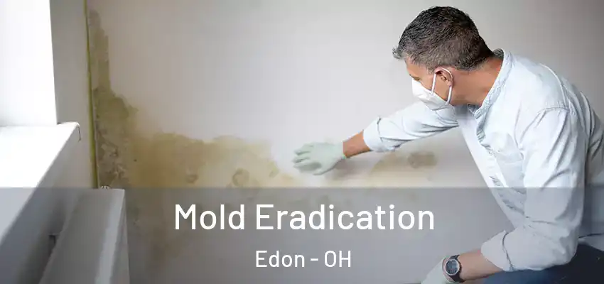  Mold Eradication Edon - OH
