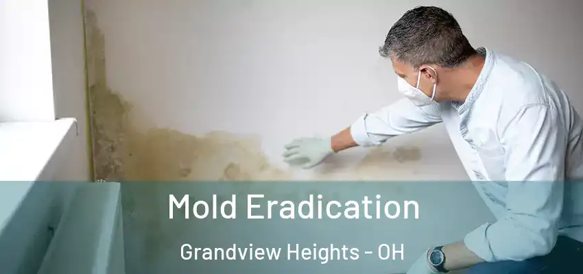  Mold Eradication Grandview Heights - OH