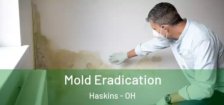  Mold Eradication Haskins - OH