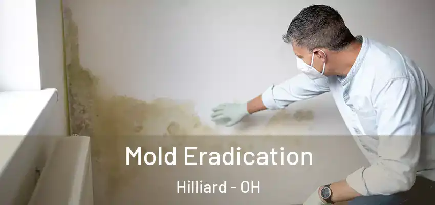  Mold Eradication Hilliard - OH