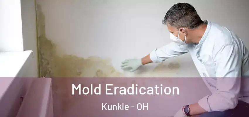  Mold Eradication Kunkle - OH