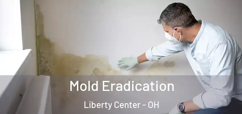  Mold Eradication Liberty Center - OH