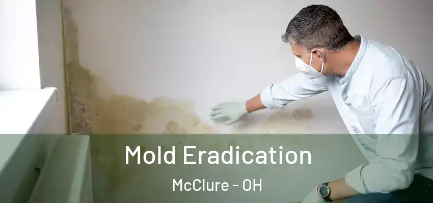  Mold Eradication McClure - OH