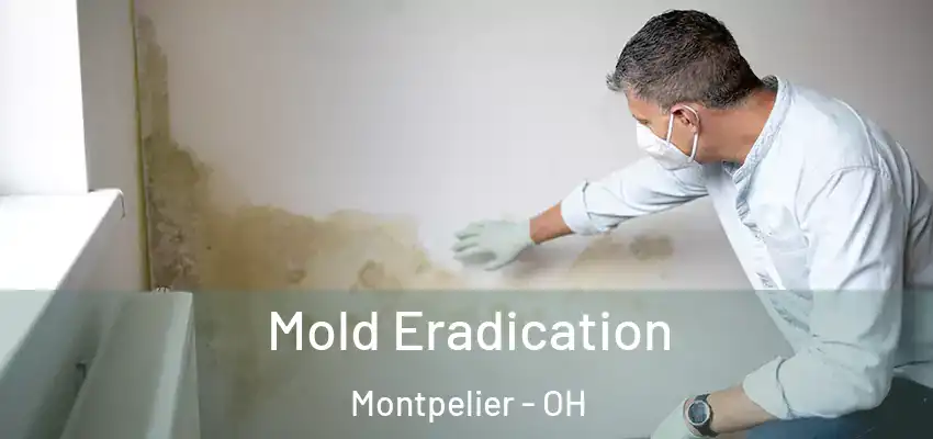  Mold Eradication Montpelier - OH