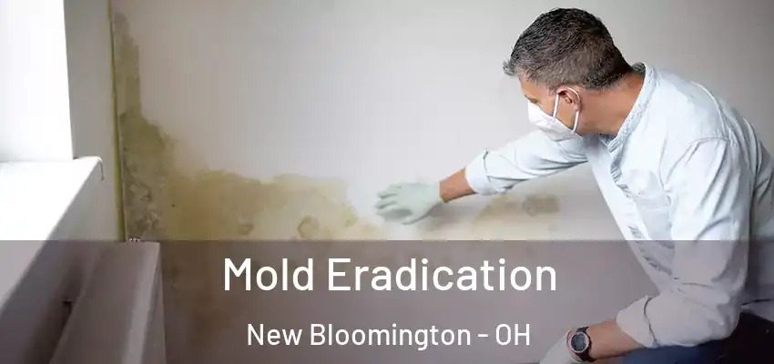 Mold Eradication New Bloomington - OH