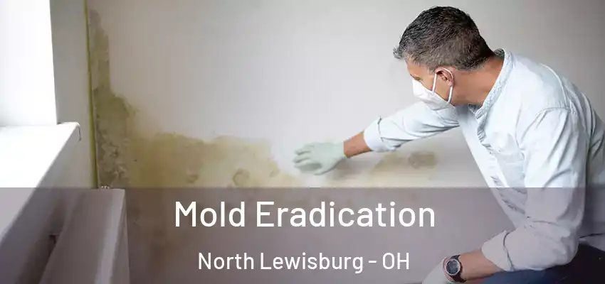  Mold Eradication North Lewisburg - OH