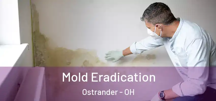  Mold Eradication Ostrander - OH