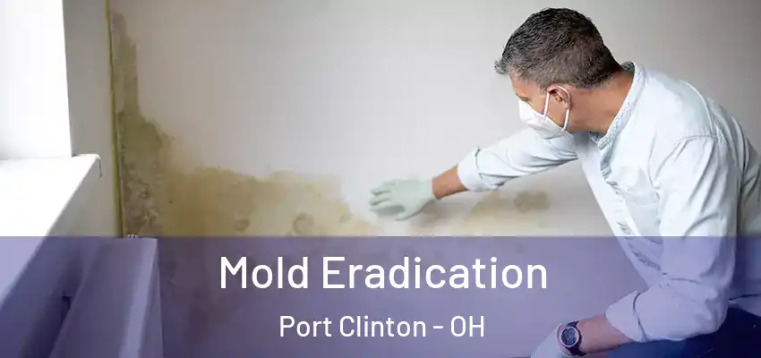  Mold Eradication Port Clinton - OH