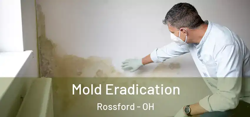  Mold Eradication Rossford - OH