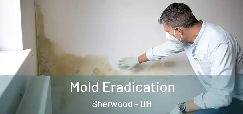  Mold Eradication Sherwood - OH