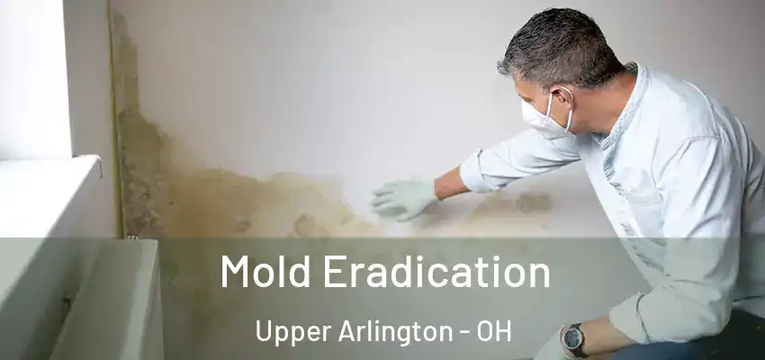  Mold Eradication Upper Arlington - OH