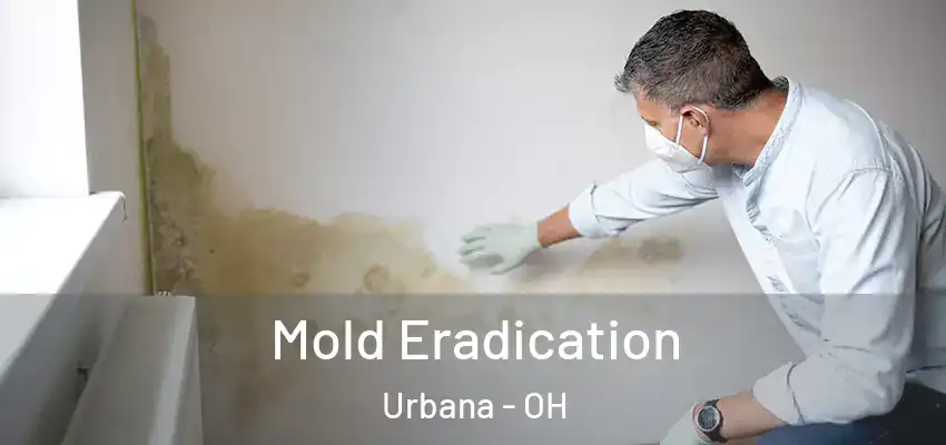  Mold Eradication Urbana - OH