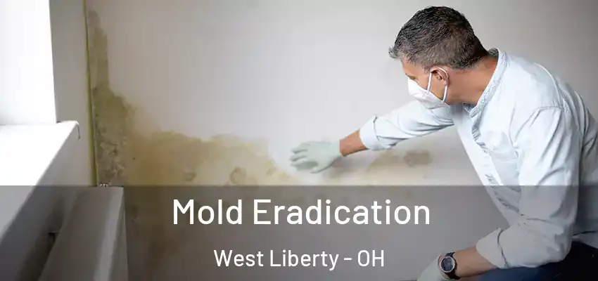  Mold Eradication West Liberty - OH