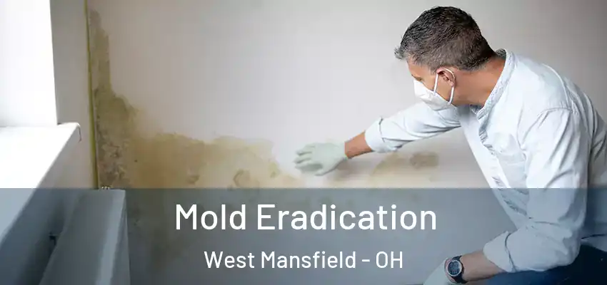  Mold Eradication West Mansfield - OH