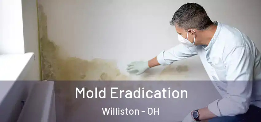  Mold Eradication Williston - OH