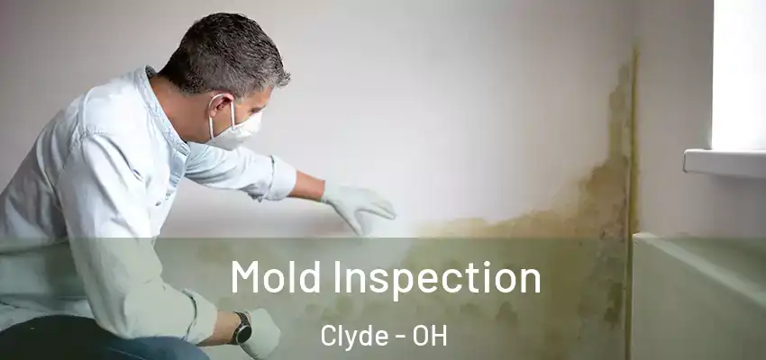  Mold Inspection Clyde - OH