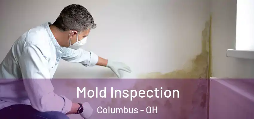  Mold Inspection Columbus - OH