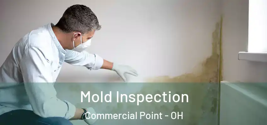  Mold Inspection Commercial Point - OH