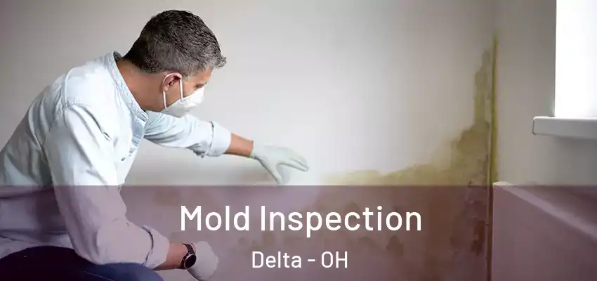  Mold Inspection Delta - OH
