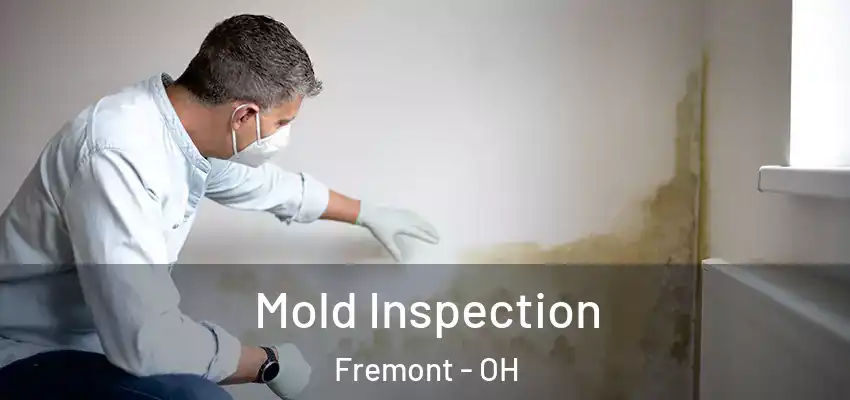  Mold Inspection Fremont - OH
