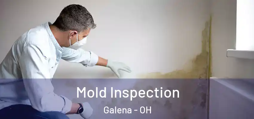  Mold Inspection Galena - OH