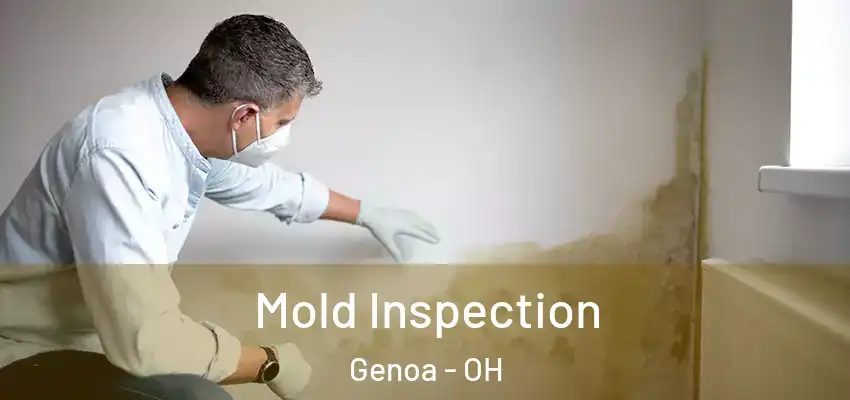  Mold Inspection Genoa - OH
