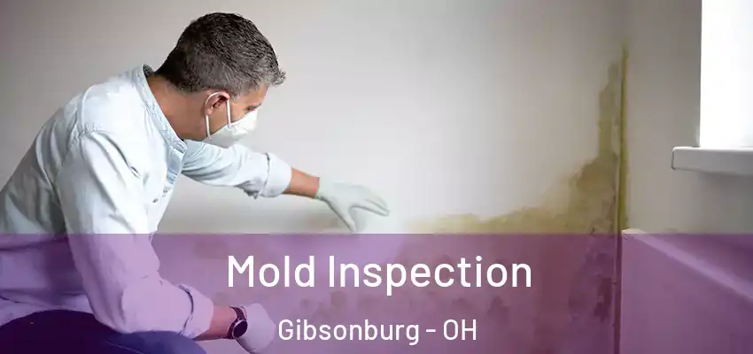  Mold Inspection Gibsonburg - OH
