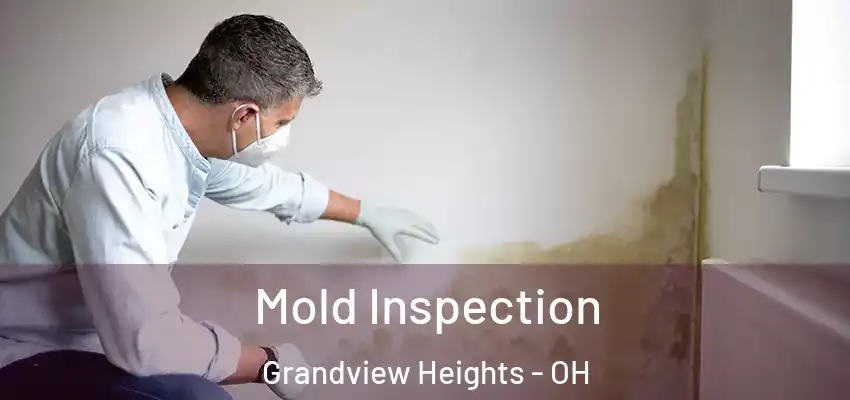  Mold Inspection Grandview Heights - OH