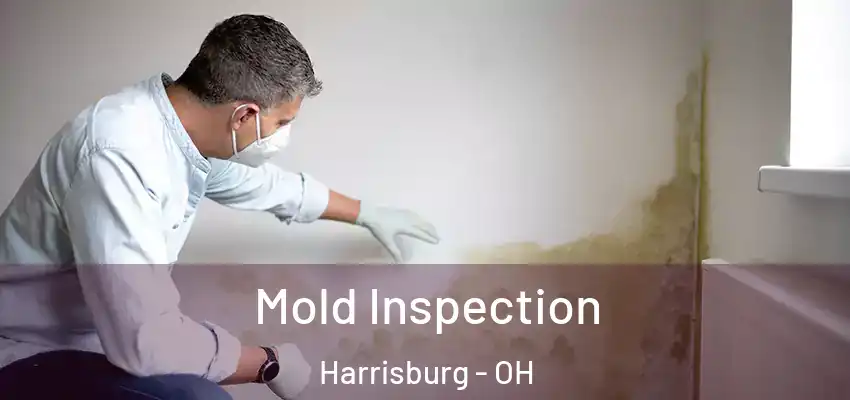  Mold Inspection Harrisburg - OH