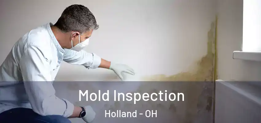  Mold Inspection Holland - OH