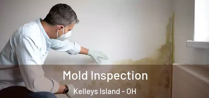  Mold Inspection Kelleys Island - OH