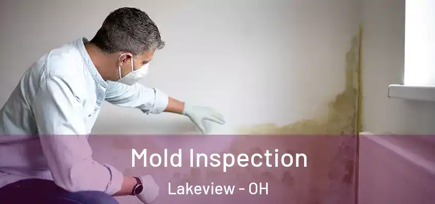  Mold Inspection Lakeview - OH