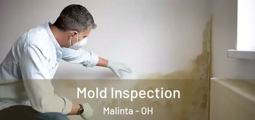  Mold Inspection Malinta - OH