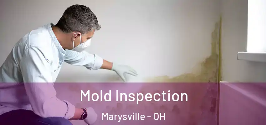  Mold Inspection Marysville - OH