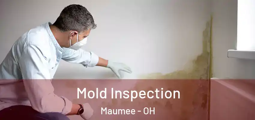  Mold Inspection Maumee - OH