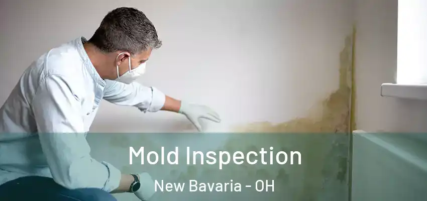  Mold Inspection New Bavaria - OH