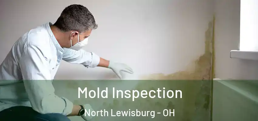  Mold Inspection North Lewisburg - OH