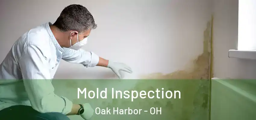  Mold Inspection Oak Harbor - OH