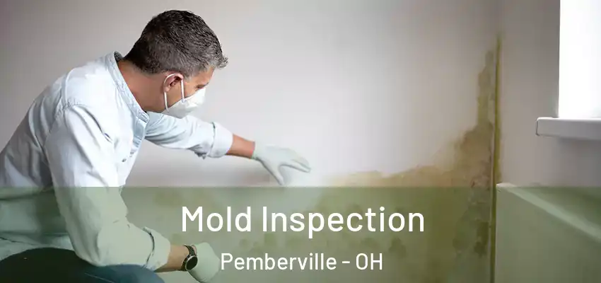  Mold Inspection Pemberville - OH