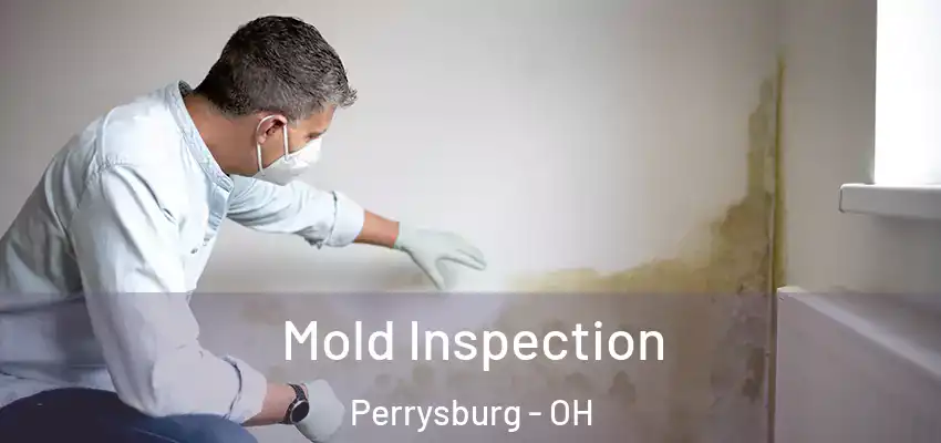  Mold Inspection Perrysburg - OH