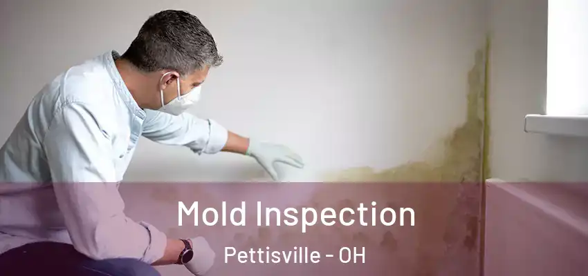  Mold Inspection Pettisville - OH