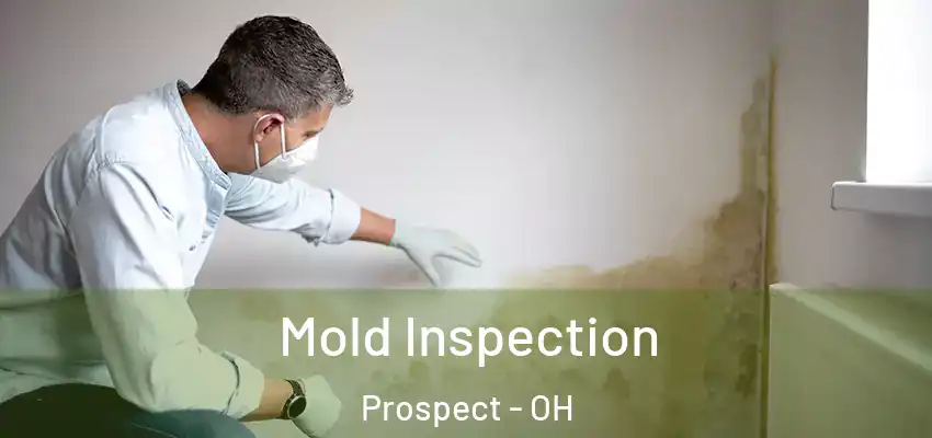  Mold Inspection Prospect - OH