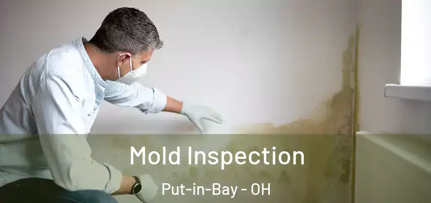  Mold Inspection Put-in-Bay - OH