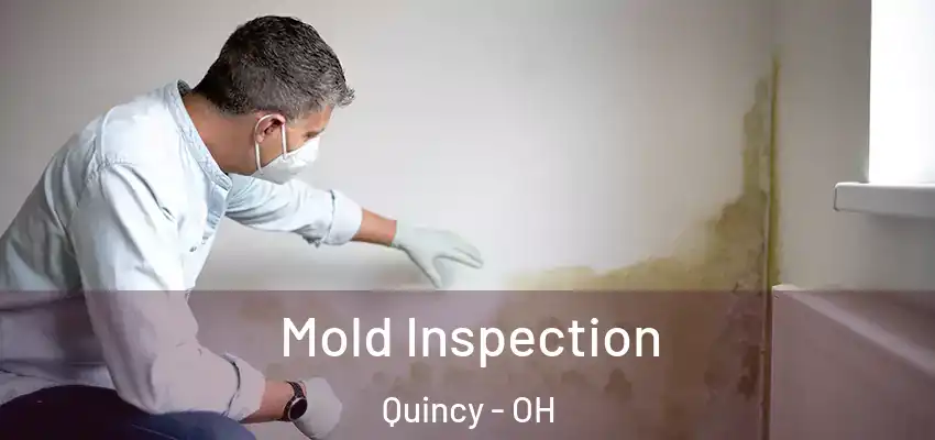  Mold Inspection Quincy - OH