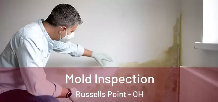  Mold Inspection Russells Point - OH